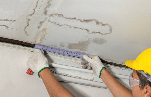 Affordable Water Damage Repair solutions in Hazel Park, MI
